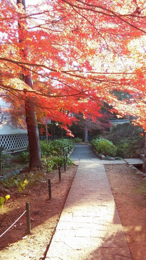 Sanzen Ya Kyoto さんぜんやきょうと- Cozy Art Space For Lover Of Travel - Dış mekan fotoğraf